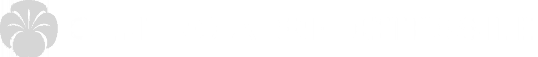 Logo cliente b2commerce